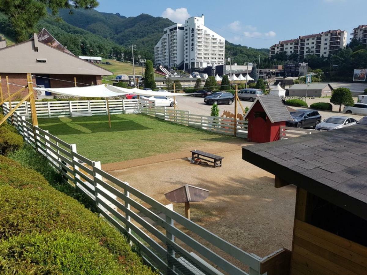 Bears Town Hotel Pocheon Exterior photo